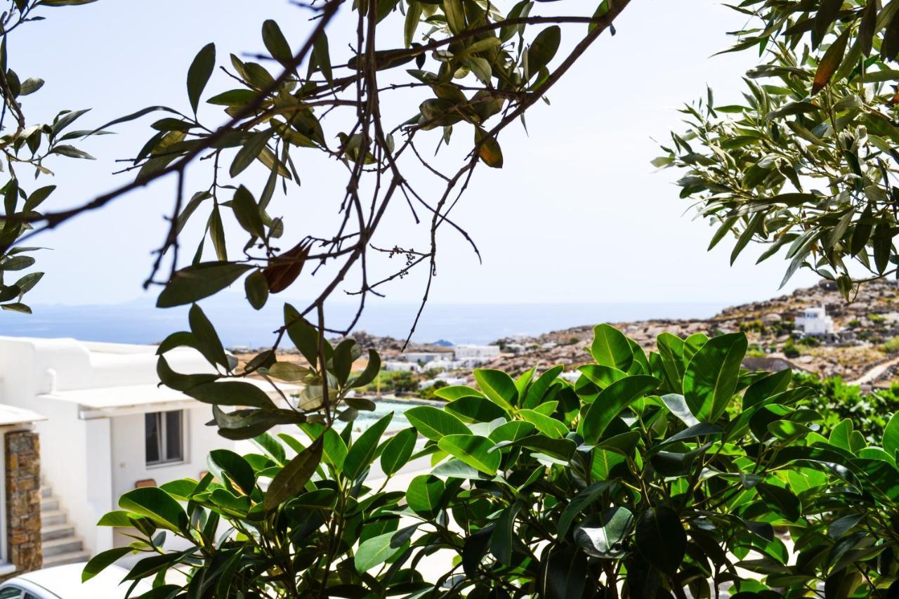 Elma'S Summerhouses Mykonos Town Esterno foto